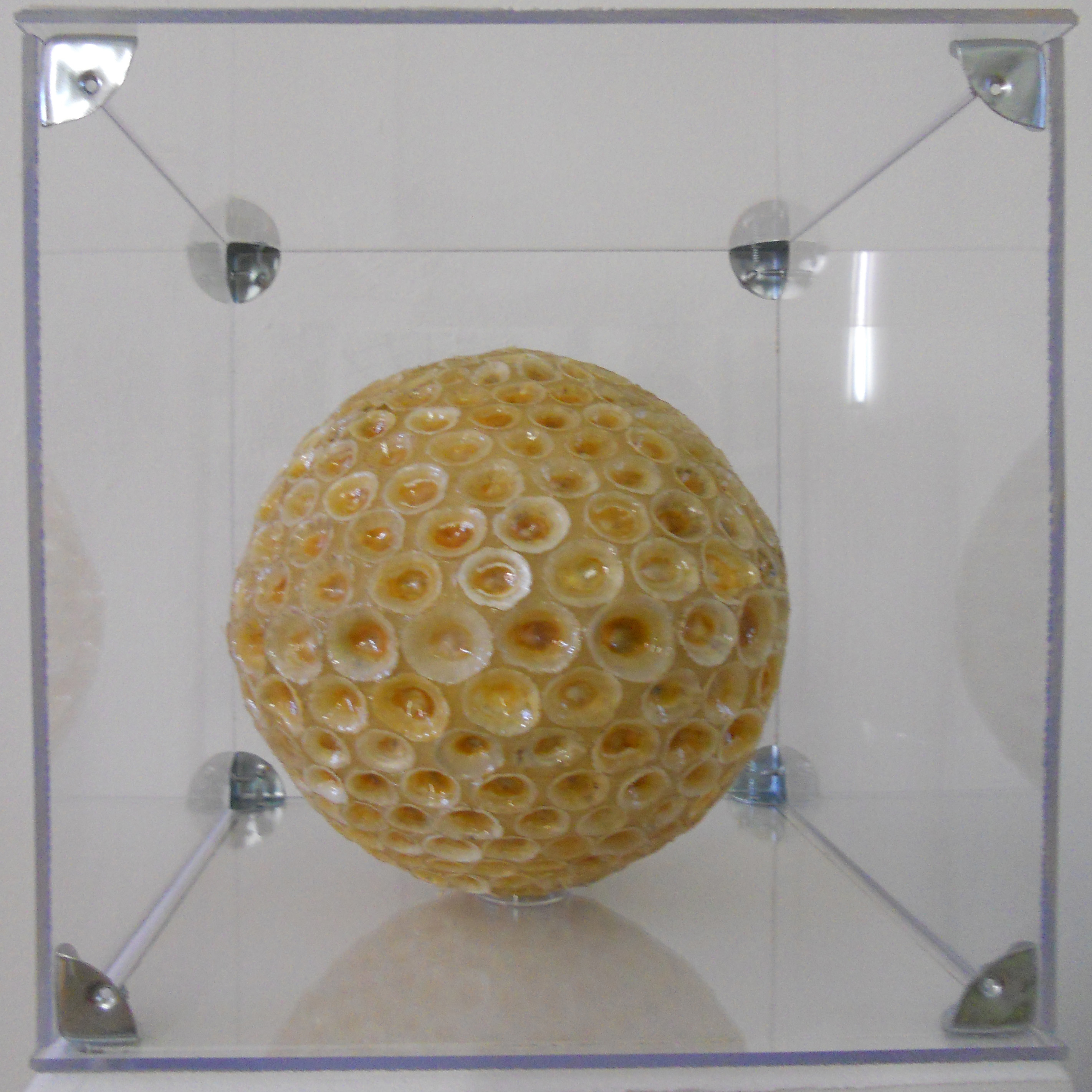 MW 13 (Hohe Aufl&ouml;sung)